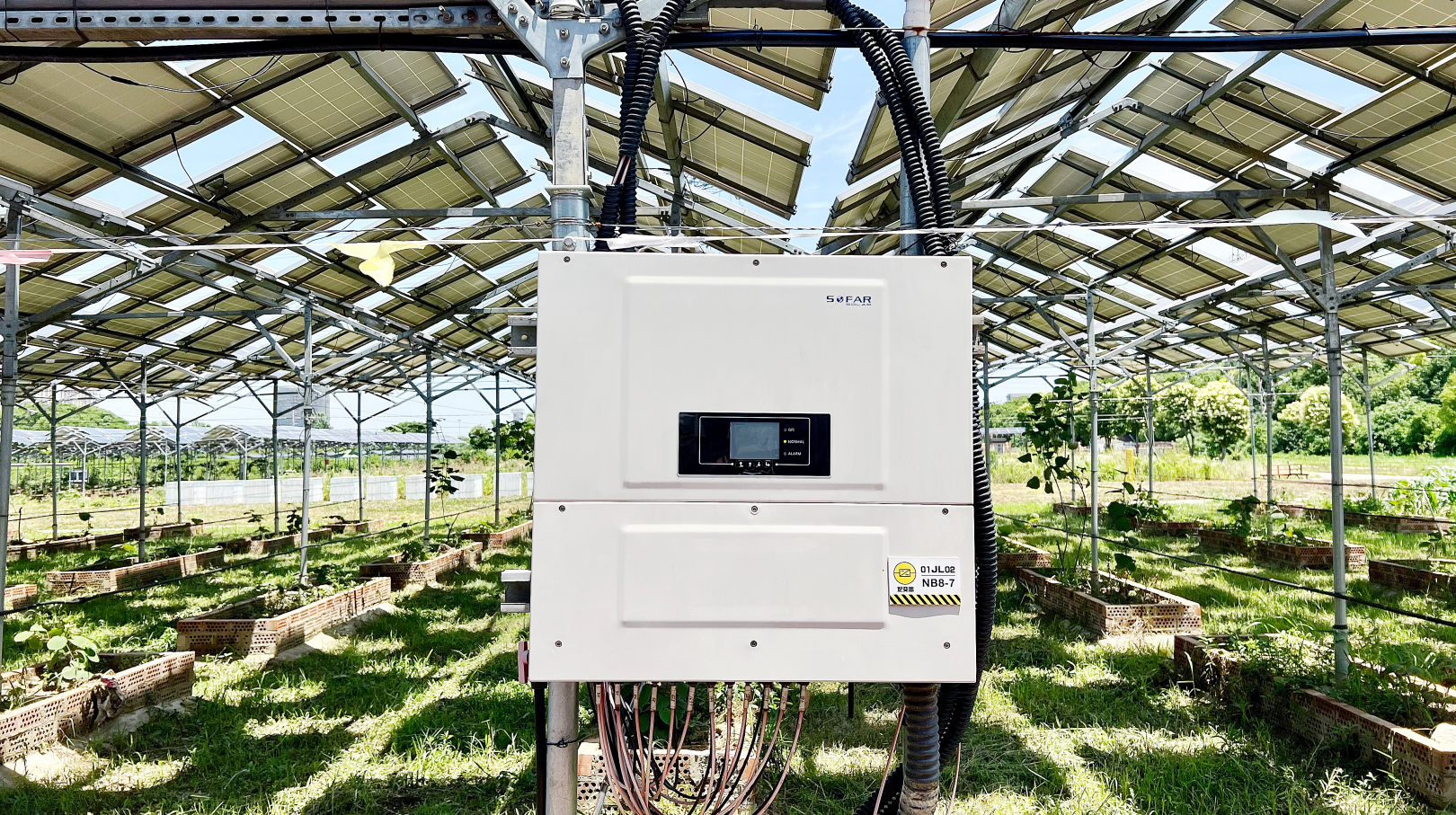 1672462152413021195.png 2.png