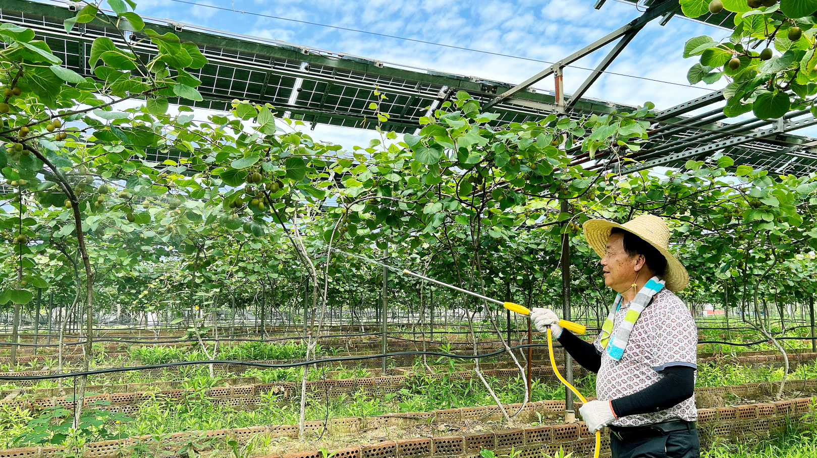 1672462175053044298.png 3.png