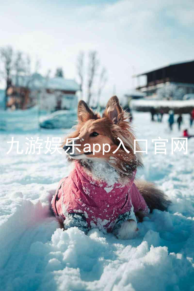 九游娱乐app入口官网